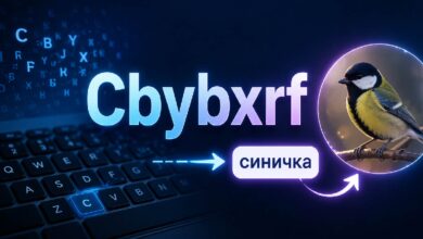 Cbybxrf