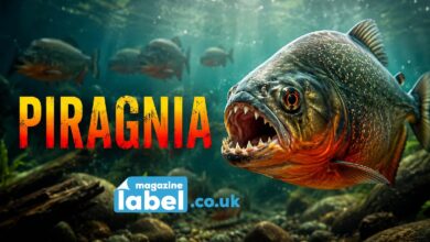 Piragnia
